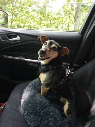 Handy-foto Challange nr. 11-Beitrag-Bild