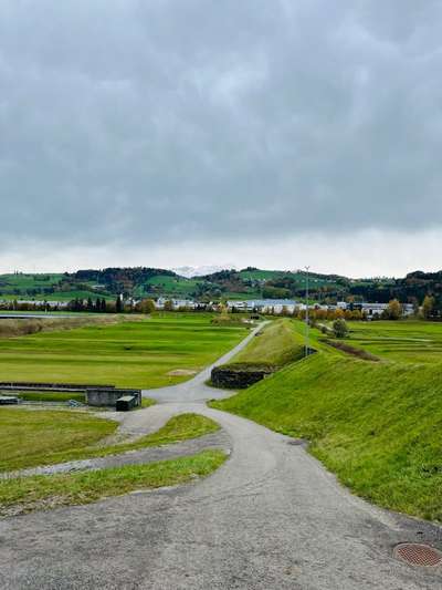 Hundeauslaufgebiet-Gründenmoos / Breitfeld-Bild