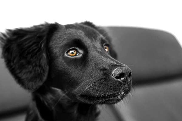 Lieblingsbild :D-Beitrag-Bild