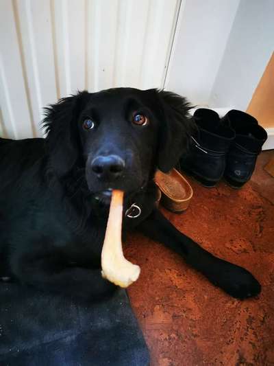 Fotochallenge Nr. 29 - Accessoires-Beitrag-Bild