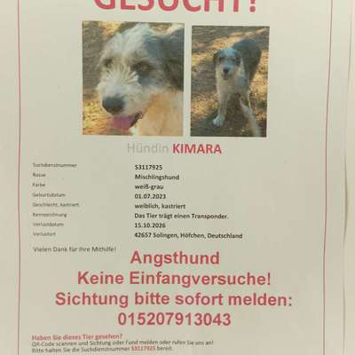 Suchmeldung-Kimara-Bild