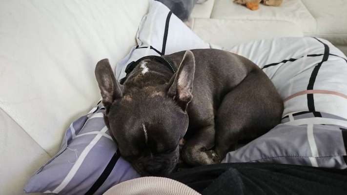 Wir brauchen Hilfe-Beitrag-Bild