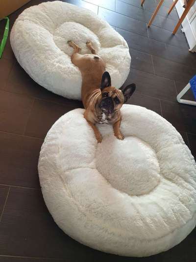 Erfahrung mit Wolkenbett-Beitrag-Bild