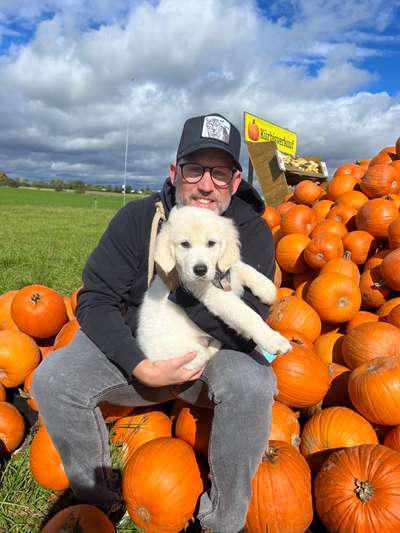 Hundetreffen-Welpen Spielrunden-Bild