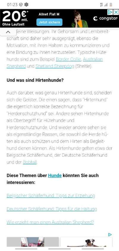 Hirtenhund-Beitrag-Bild