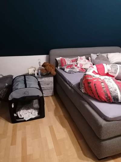 Ruby bellt immer noch in der Nacht-Beitrag-Bild