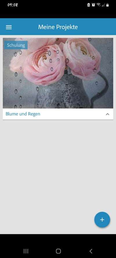 Photomontagen mit Hund-Beitrag-Bild