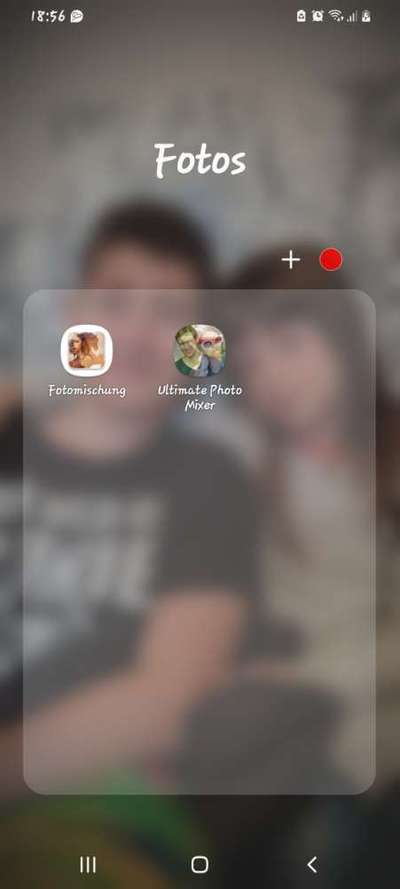 Photomontagen mit Hund-Beitrag-Bild