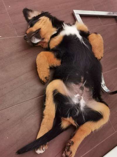 Moviestar-Pics!-Beitrag-Bild