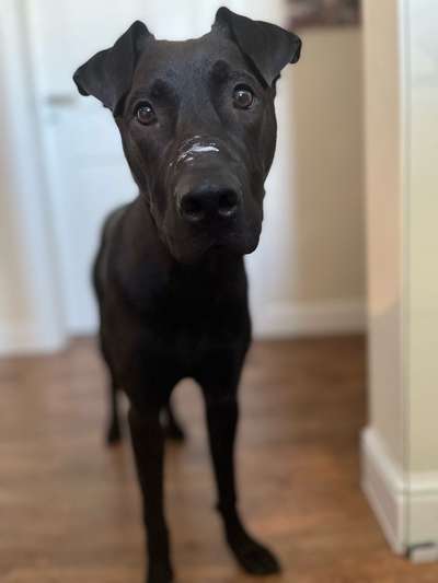 Bettel Blicke-Beitrag-Bild