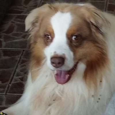 Manuela's Profilbild