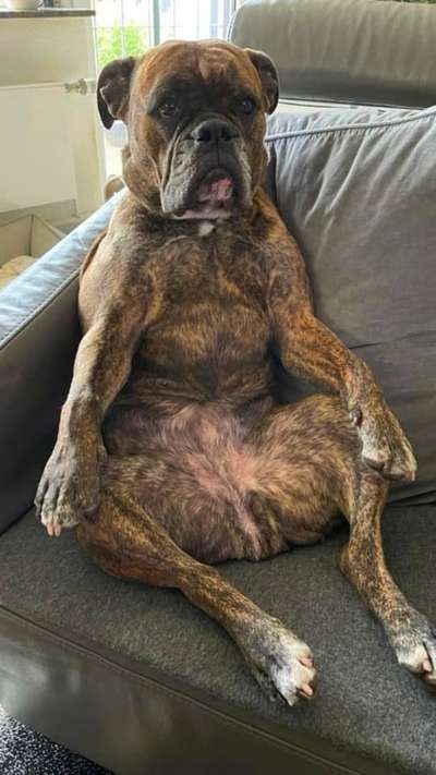 aktuelles Foto Gruppe Fellnase aus Wuppertal