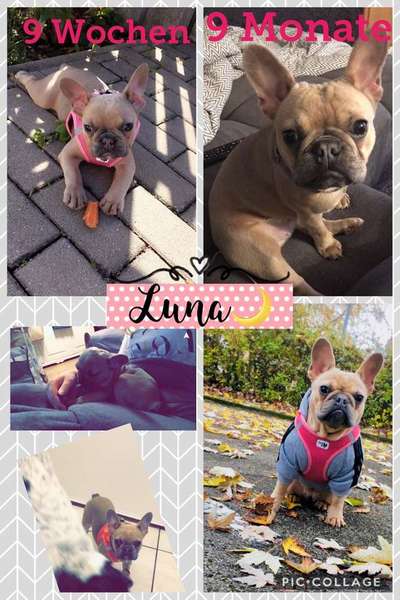 Vorher.... Nachher-Beitrag-Bild