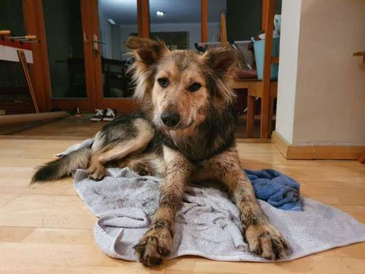 Zeigt mir doch mal eure Dreckspätze-Beitrag-Bild