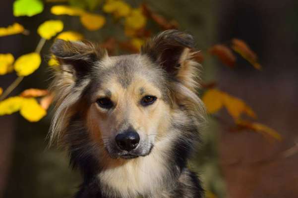 Fotochallange Nr. 57     PORTRÄT.   Beendet!!!!!!!!-Beitrag-Bild