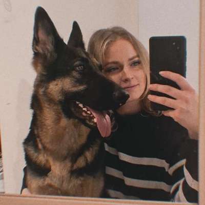 Hundetreffen-Gemeinsam 👣 in Haar/Vaterstetten-Profilbild