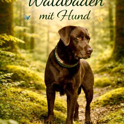 %{de_profession_title}-Waldbaden mit Hund-Bild