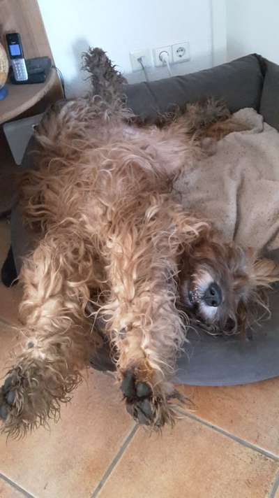 FOTO-Challenge  NR. 91: Die pure Entspannung-Beitrag-Bild