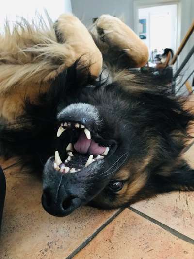 Fotochallenge Nr.122-Beitrag-Bild