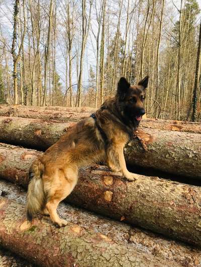 Foto Challenge Nr. 79-Beitrag-Bild