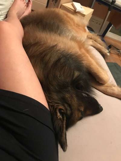 FOTO-Challenge  NR. 91: Die pure Entspannung-Beitrag-Bild