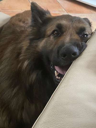 Foto Challange Nr.80-Beitrag-Bild