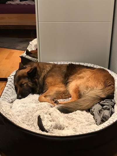 Schlafzeit!💖-Beitrag-Bild