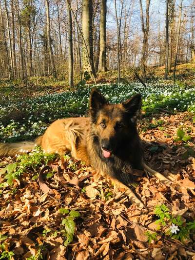 Fotochallenge 78

Es grünt und blüht-Beitrag-Bild