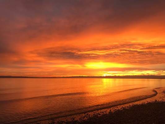 Die wunderschöne Welt mit Hund.-Beitrag-Bild