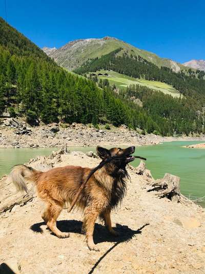 19. Handy - Foto - Challenge-Beitrag-Bild