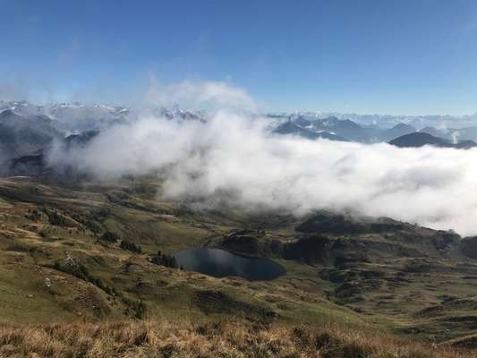 Die wunderschöne Welt mit Hund.-Beitrag-Bild