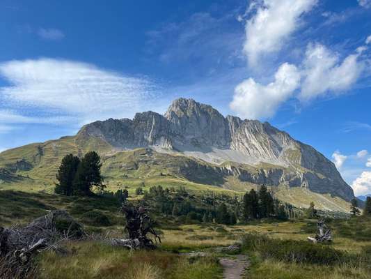 Die wunderschöne Welt mit Hund.-Beitrag-Bild