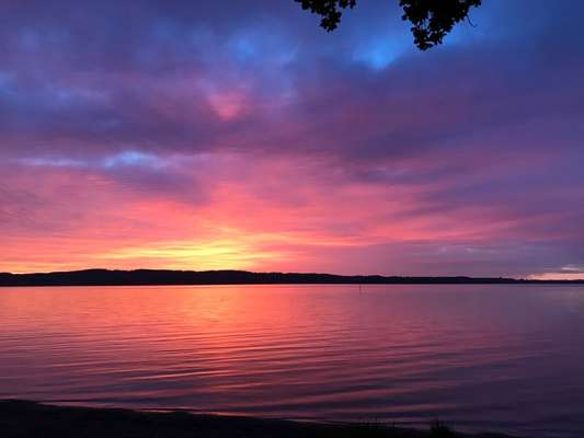 Die wunderschöne Welt mit Hund.-Beitrag-Bild