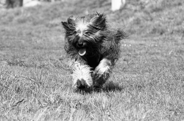 Foto-Challenge 76: Foto in Schwarz-Weiss-Beitrag-Bild
