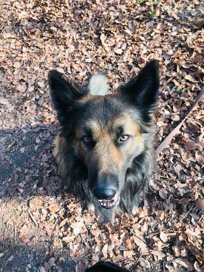 Handy-Foto Challange Nr. 10-Beitrag-Bild