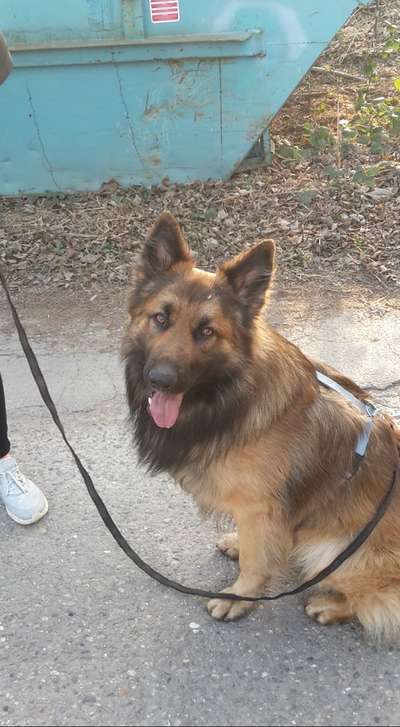 Foto Challenge 82-Beitrag-Bild