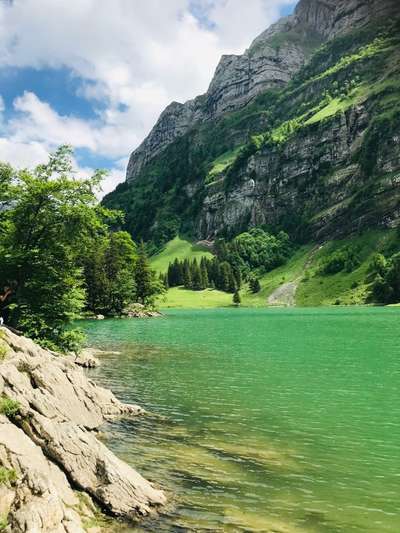 Die wunderschöne Welt mit Hund.-Beitrag-Bild