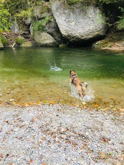 FOTOCHALLANGE NR.71 BADEFREUDE-Beitrag-Bild