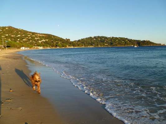 Fotochallenge Nr.100 Urlaubsimpressionen-Beitrag-Bild