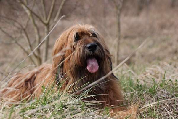 Fotochallenge Nr.89 - Charakter und Wesen-Beitrag-Bild