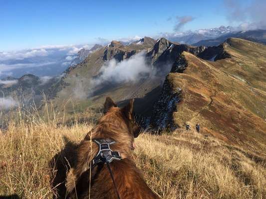 Fotochallenge Nr 107-Beitrag-Bild