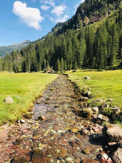 Die wunderschöne Welt mit Hund.-Beitrag-Bild