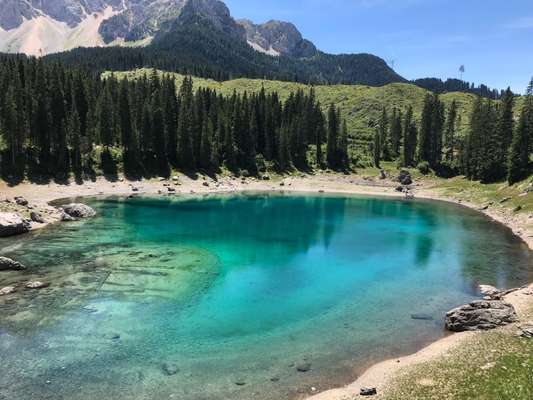 Die wunderschöne Welt mit Hund.-Beitrag-Bild