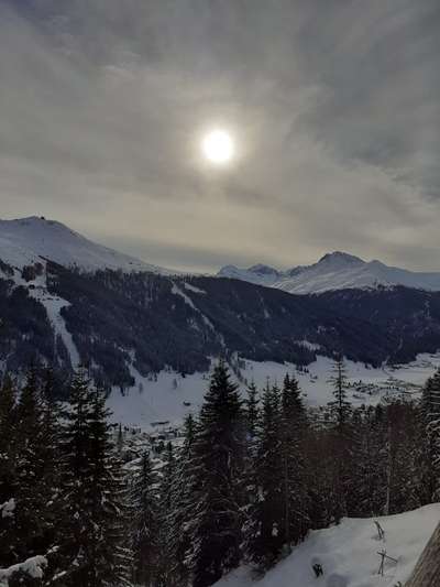 Die wunderschöne Welt mit Hund.-Beitrag-Bild