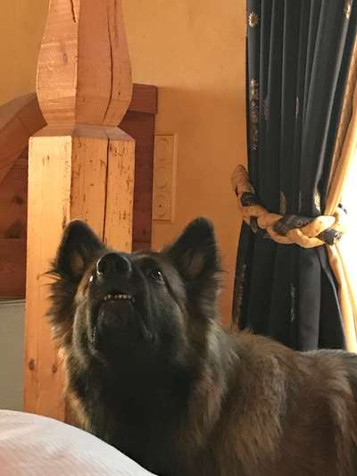 Her mit dem Grimassen-Beitrag-Bild