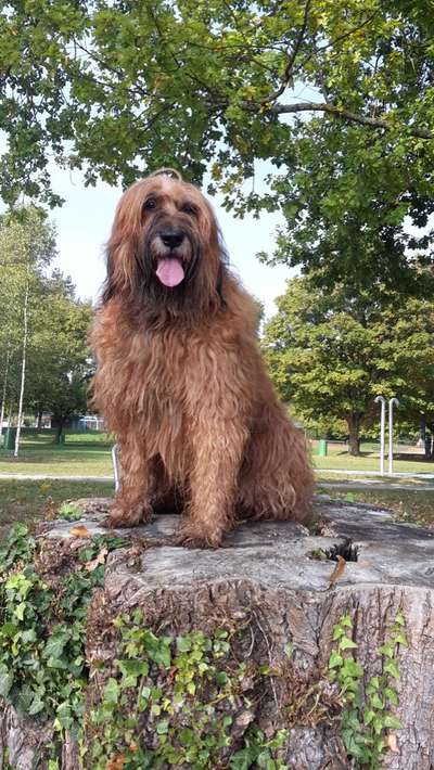 27. Handy Fotochallenge-Beitrag-Bild