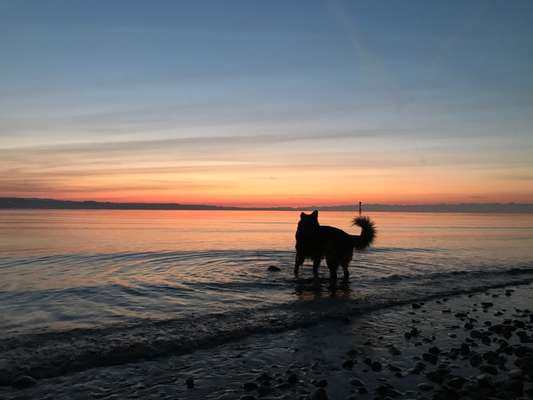 Theos Fotochallange Nummer 4-Beitrag-Bild