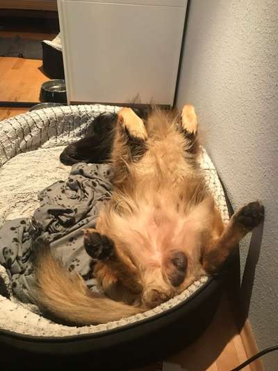 Fotochallenge Nr.65-Beitrag-Bild