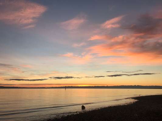 Die wunderschöne Welt mit Hund.-Beitrag-Bild