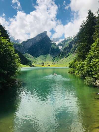 Die wunderschöne Welt mit Hund.-Beitrag-Bild